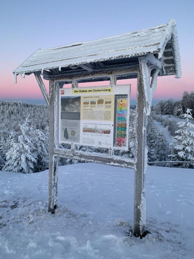 Aktiv-Ferienwohnung Snow&Bike- Zentral zwischen Winterberg und Willingen Exterior foto