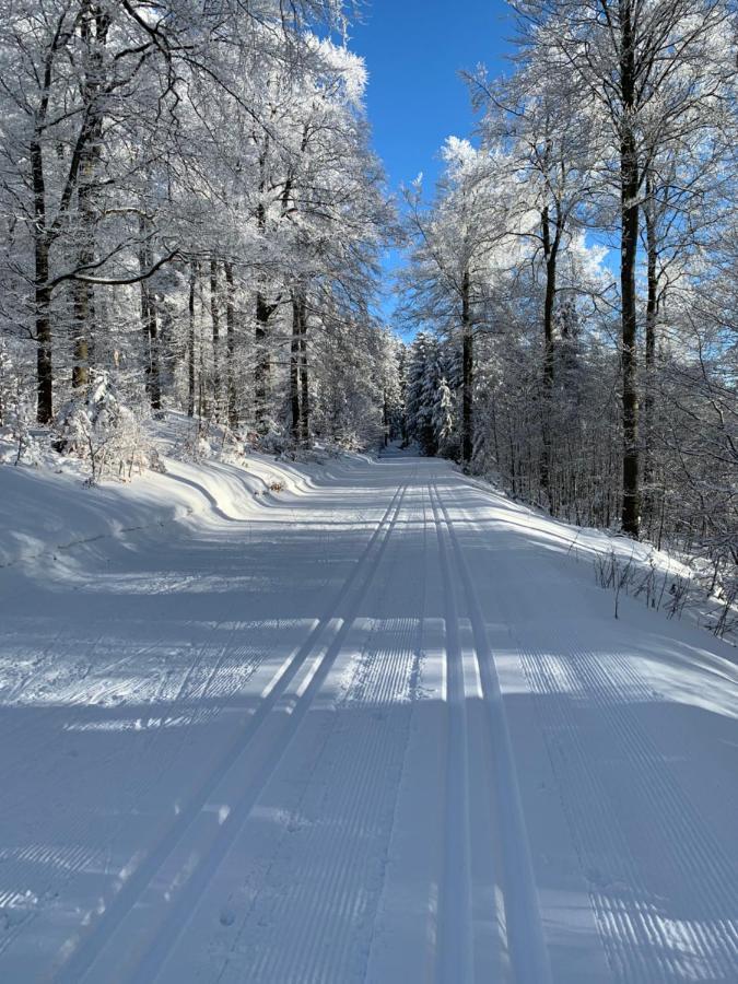 Aktiv-Ferienwohnung Snow&Bike- Zentral zwischen Winterberg und Willingen Exterior foto